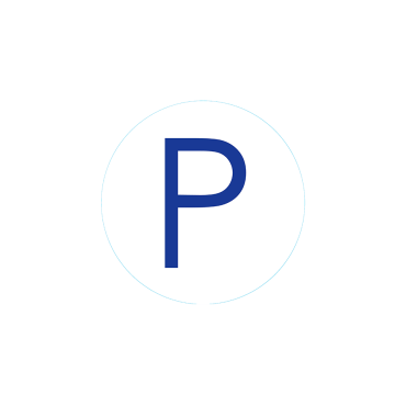 Bogg Bit - Initial "P"